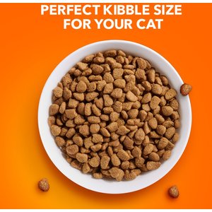 Best hairball control food for cats best sale