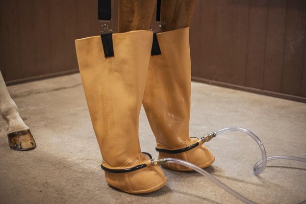 Hydrotherapy boots for horses hotsell