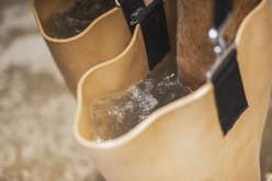 Jacks Whirlpool Boots Therapeutic Horse Boots slide 2 of 5