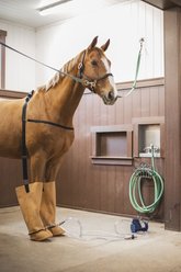 Jacks Whirlpool Boots Therapeutic Horse Boots with Compressor