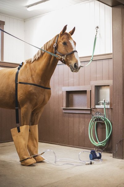 Whirlpool ice clearance boots for horses