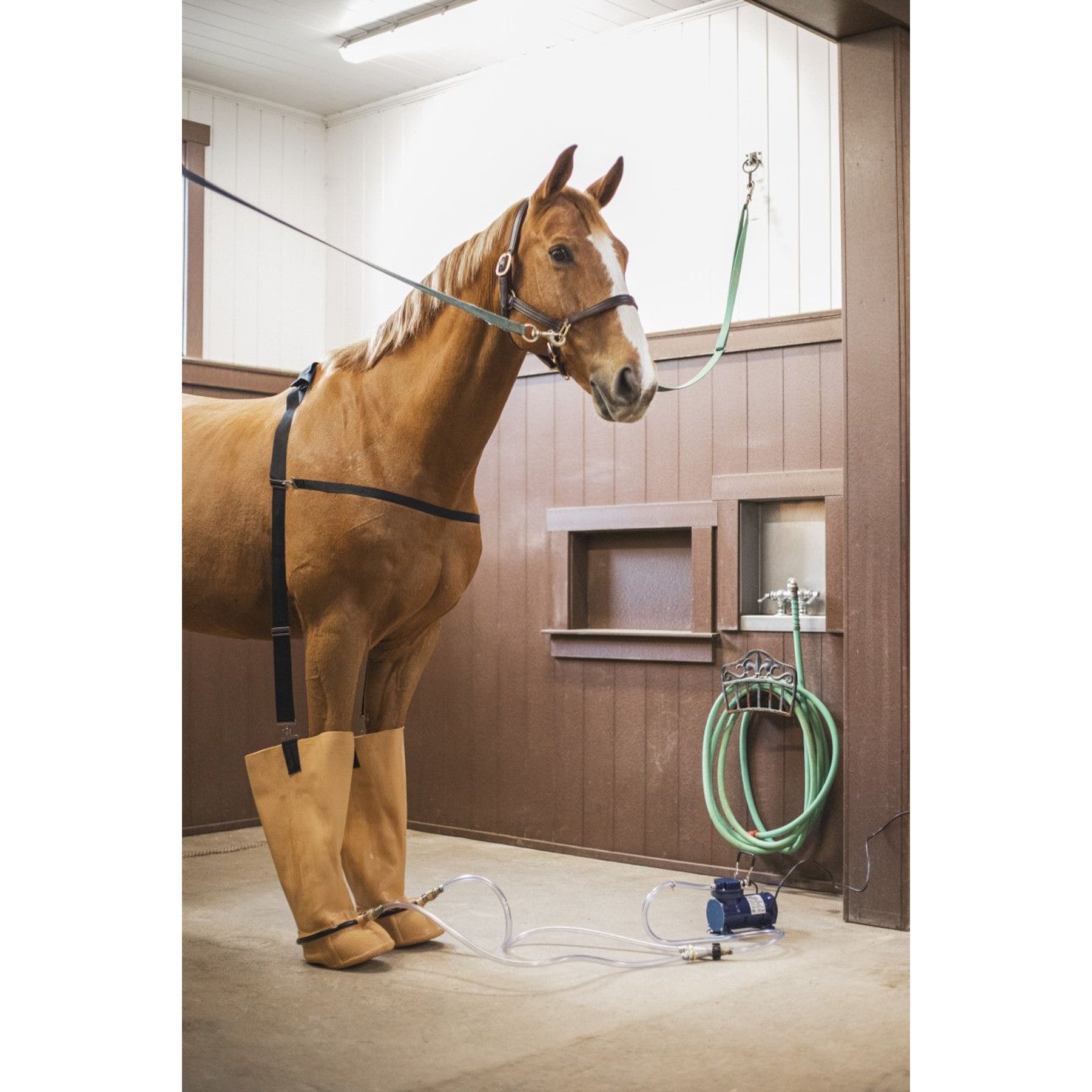 Whirlpool 2024 boots equine