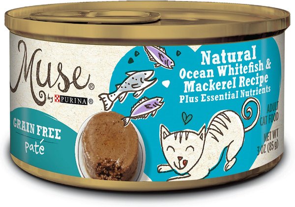 Muse canned hot sale cat food