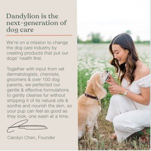 Dandylion Clean Paws Dog Foaming Cleanser, 5-oz bottle