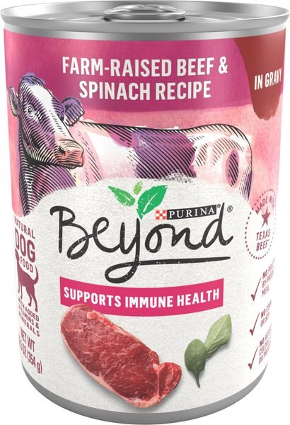 purina beyond dog food wet