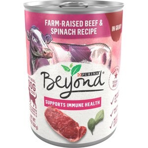 Purina Beyond Farm-Raised Beef & Spinach in Gravy Recipe Canned Dog Food, 12.5-oz, case of 12