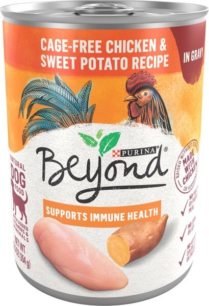Purina Beyond Chicken & Sweet Potato Recipe in Gravy Grain-Free Canned Dog Food, 12.5-oz, case of 12 slide 1 of 11