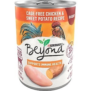Purina Beyond Chicken & Sweet Potato Recipe in Gravy Canned Dog Food, 12.5-oz, case of 12