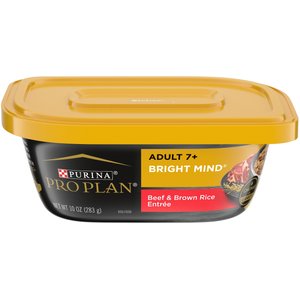 Purina neurocare 2024 wet food