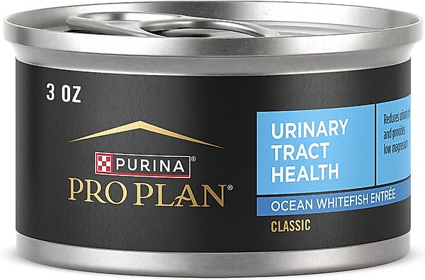 Purina Pro Plan Focus Adult Urinary Tract Health Formula Ocean Whitefish Entree Canned Cat Food Purina Pro Plan Focus Adult Urinary Tract Health Formula Ocean Whitefish Entree Canned Cat Food