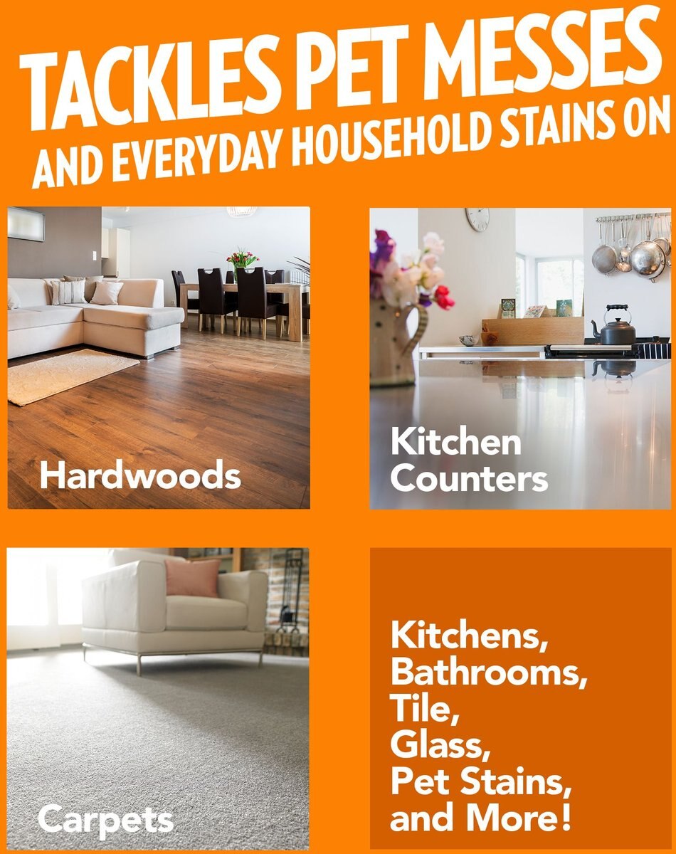 OUT! PetCare Orange Dog Oxy Stain & Odor Remover, 32oz bottle