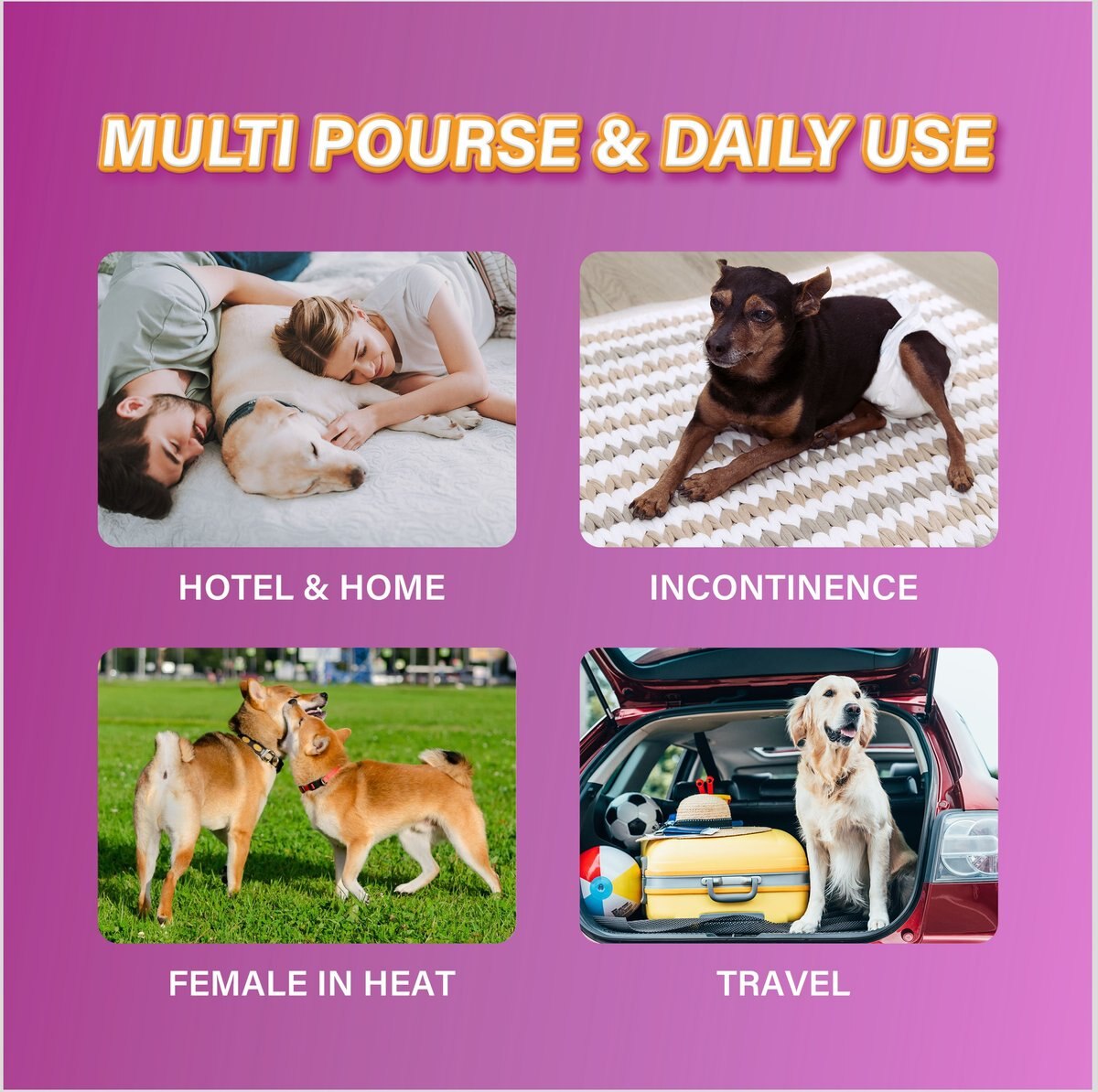 Honey Care AllAbsorb Super Absorbent Disposable Female Dog Diapers