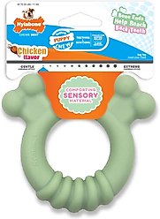 Nylabone Power Play Teething Ring Puppy Chew Toy, Green