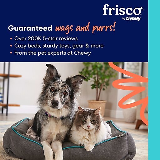 Frisco Wave Cat Scratcher Toy with Catnip, 2 count