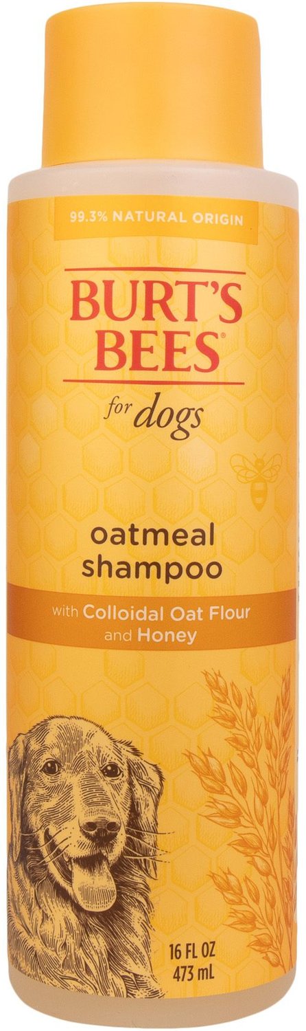 hoppe Parametre Slip sko BURT'S BEES Oatmeal Shampoo with Colloidal Oat Flour & Honey for Dogs,  16-oz bottle - Chewy.com
