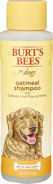 Burt's Bees Oatmeal with Colloidal Oat Flour & Honey Dog Shampoo, 16-oz bottle slide 1 of 11