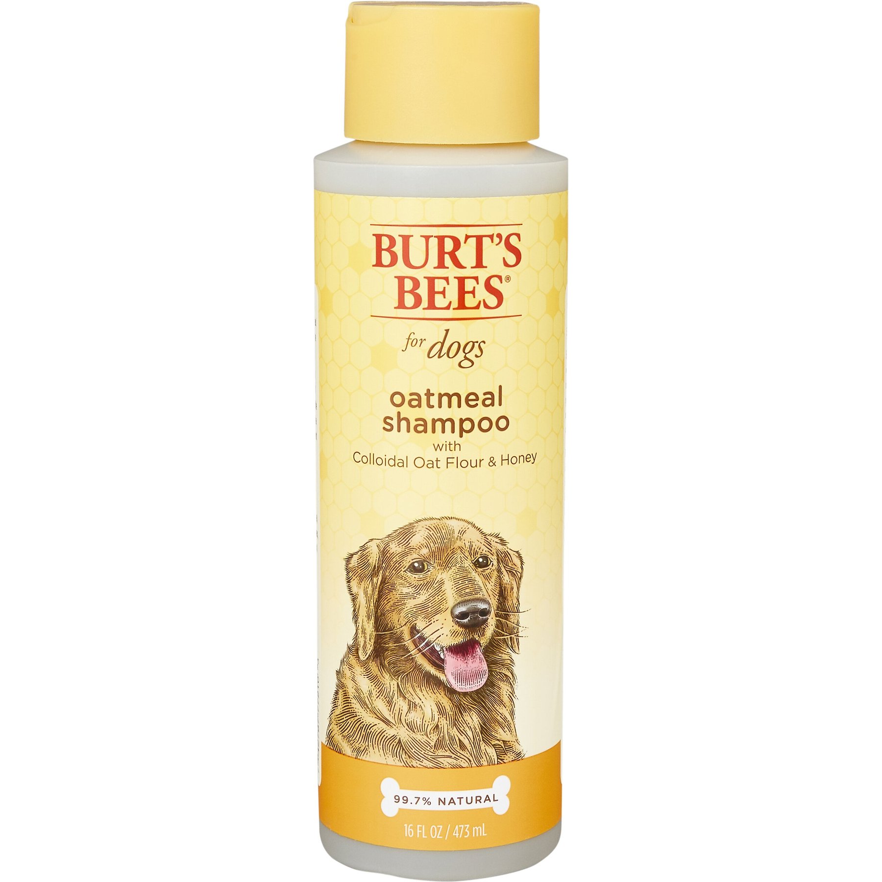  Dog Shampoos & Conditioners - Last 30 Days / Dog Shampoos &  Conditioners / Dog G: Pet Supplies