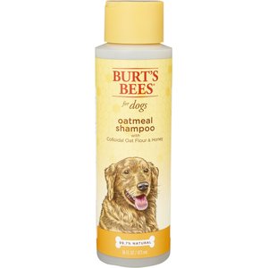 Burt's Bees Oatmeal Shampoo with Colloidal Oat Flour & Honey for Dogs, 16-oz bottle