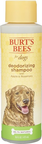 Burt's Bees Deodorizing Shampoo with Apple & Rosemary for Dogs, 16-oz bottle slide 1 of 10
