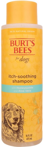Burt's Bees Itch Soothing Honeysuckle Shampoo, 16-oz bottle slide 1 of 10