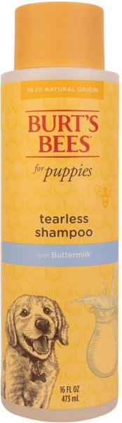 Burt's bee shops shampoo