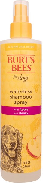 Burt's Bees Waterless Shampoo with Apple & Honey for Dogs, 10-oz bottle slide 1 of 7
