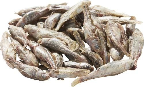 Show full view: Vital Essentials Minnows Freeze-Dried Raw Dog Treats, 1-oz bag slide 4 of 8