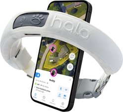 Halo Collar Wireless Dog Fence GPS Tracker & Activity Monitor Dog Training Collar, Ivory, Small: 11 to 15-in neck, 1-in wide slide 1 of 8