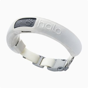 Halo Collar Wireless Dog Fence GPS Tracker & Activity Monitor Dog Training Collar, Ivory, Small: 11 to 15-in neck, 1-in wide