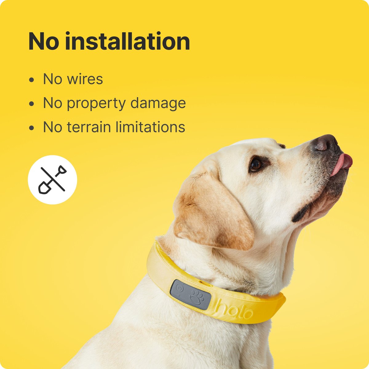 HALO COLLAR Wireless Dog Fence GPS Tracker & Activity Monitor Dog Training  Collar, Orchid, Medium/Large: 15 to 30.5-in neck, 1-in wide 
