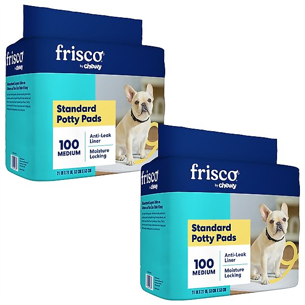 Frisco Dog Training Pads, 21 x 21-in, 200 count, Unscented slide 1 of 9