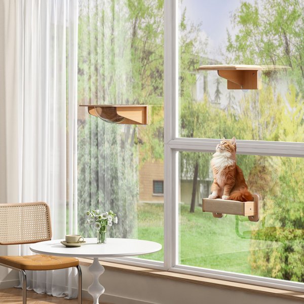 Coziwow 3 Piece Window Perch Suction Cup Hammock Cat Perch
