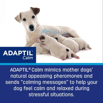 Show full view: Adaptil 30 Day Starter Kit Calming Diffuser for Dogs slide 8 of 12