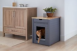 TRINITY 20-in Enclosure End Table with Drawer Cat Litter Box, Dark Grey, Small