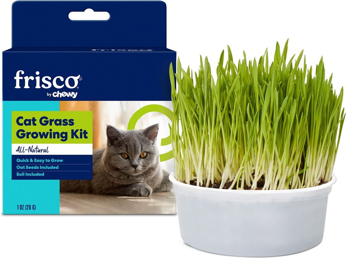 FRISCO Natural Cat Grass Growing Kit