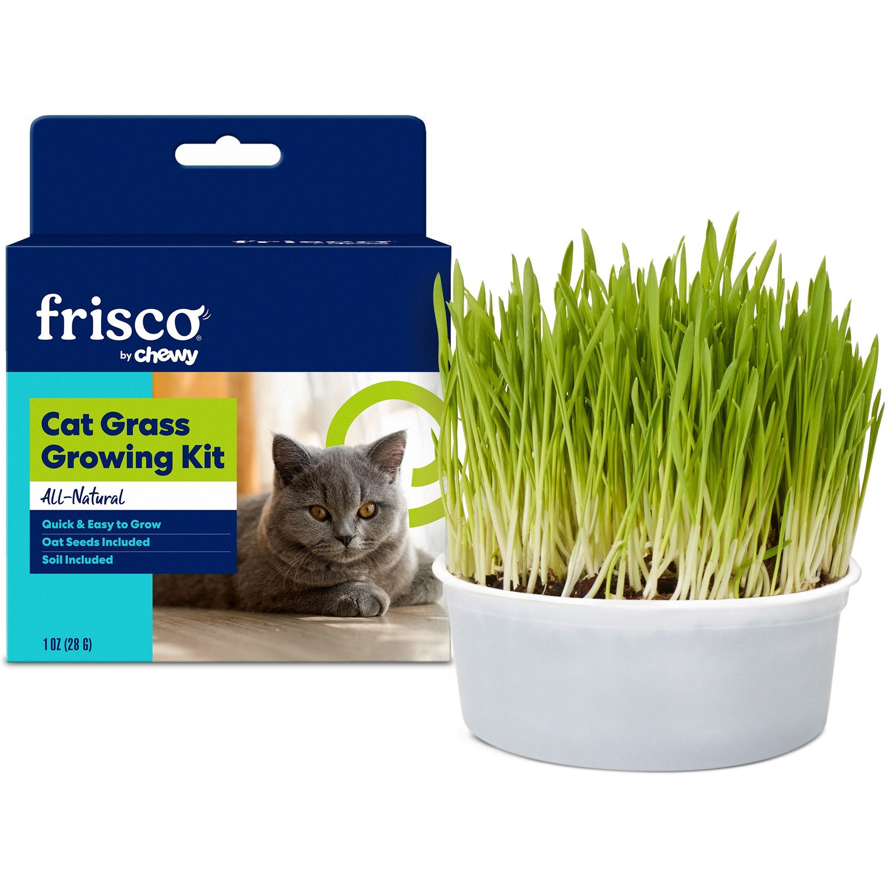 Frisco Natural Cat Grass Growing Kit