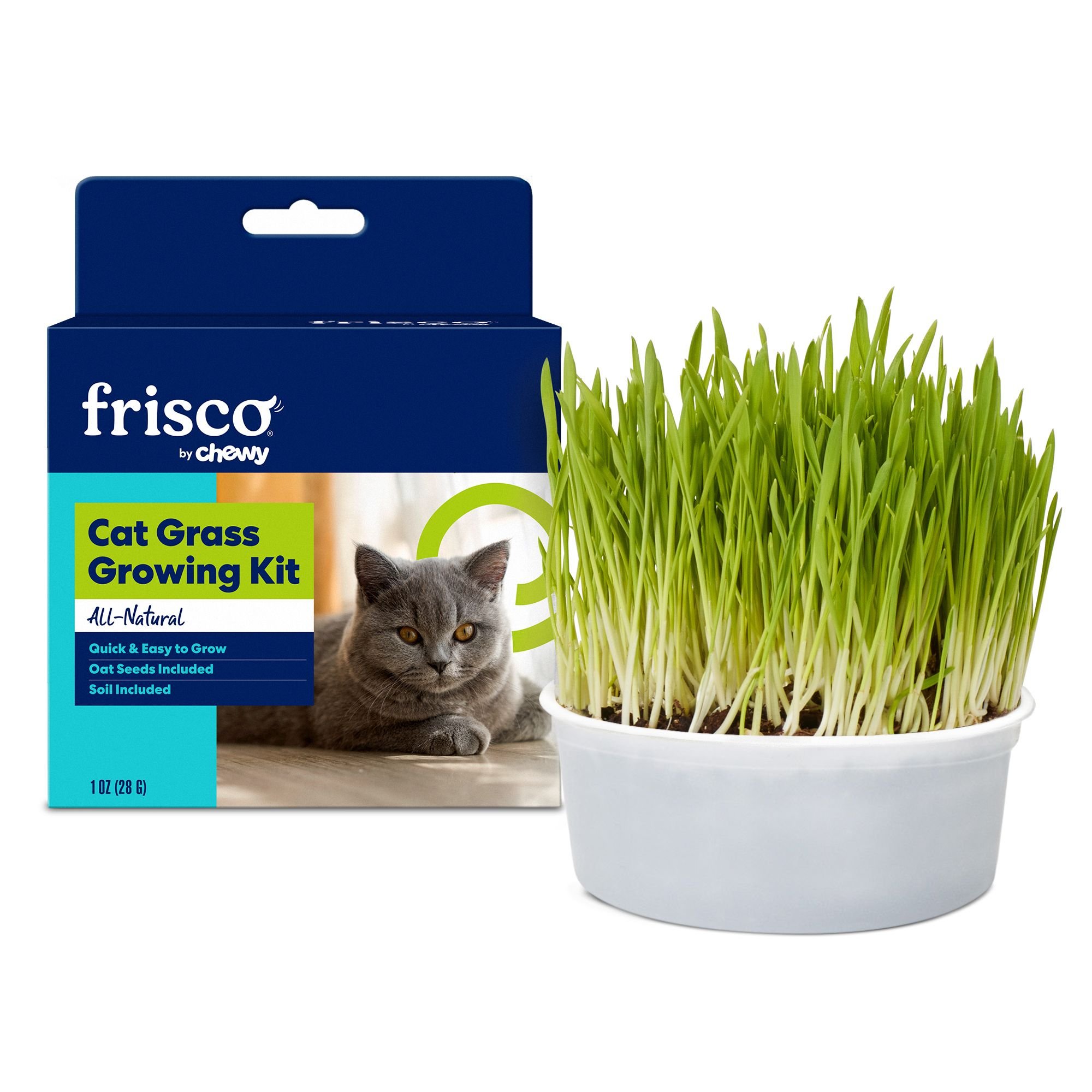 Questions and Answers about FRISCO Natural Cat Grass Growing Kit