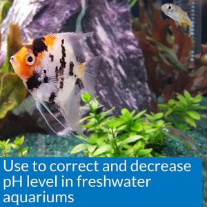 9 Best Aquarium Water Treatments 2024: According to Reviews | Chewy