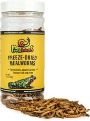 Freshinsects Freeze-Dried Mealworm Treats, 1.7-oz jar slide 2 of 8