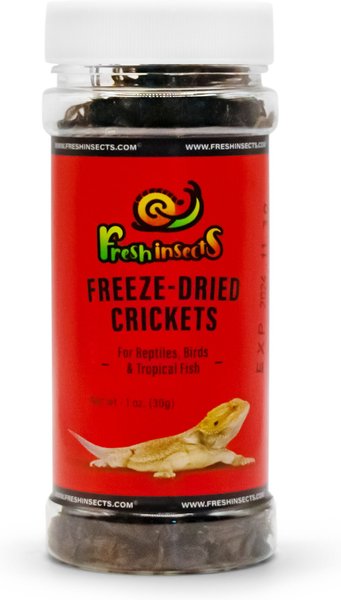 FRESHINSECTS Freeze-Dried Crickets Treats, 1-oz jar - Chewy.com