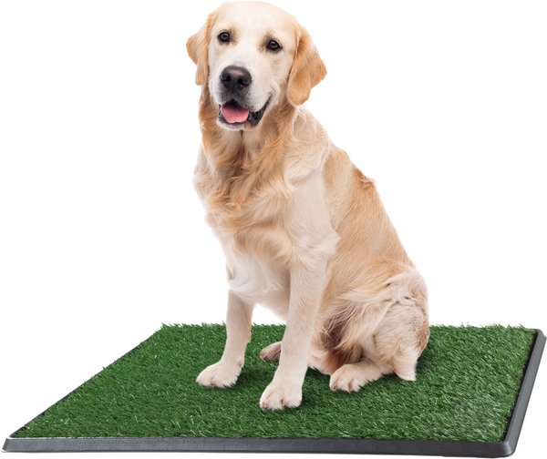 25 in. x 20 in. Puppy Pet Potty Training Pee Pad Mat Tray Artificial Grass