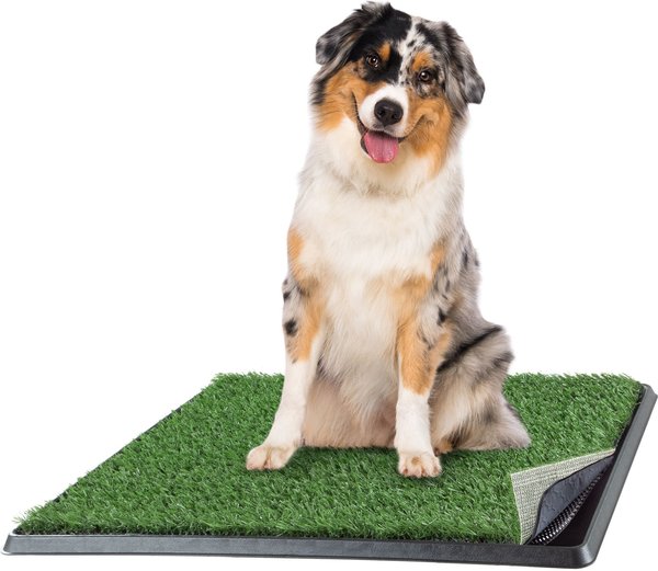 PET ADOBE Artificial Grass Potty Trainer Dog Mat, Medium, 4Layer