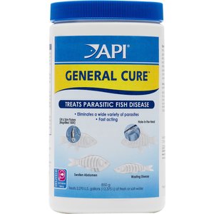 API General Cure Freshwater & Saltwater Aquarium Parasitic Fish Disease Treatment, 30-oz bottle