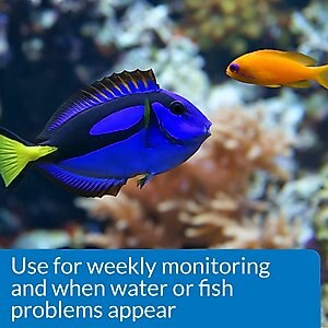 API Saltwater Aquarium Master Test Kit, 550 count