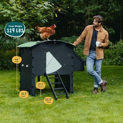 Nestera Raised Chicken Coop, Large: 5 to 10 Chicken Capacity, waterproof roof slide 2 of 8