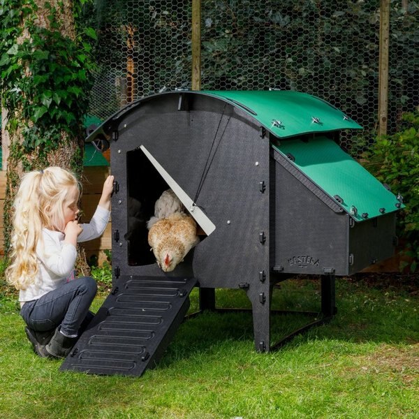 NESTERA Elevated Lodge Chicken Coop, Medium 3 to 9 Chicken Capacity