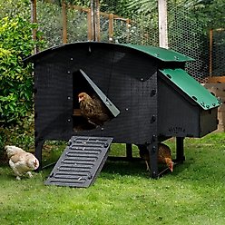 Nestera Elevated Lodge Chicken Coop, Large: 5 to 10 Chicken Capacity, waterproof roof