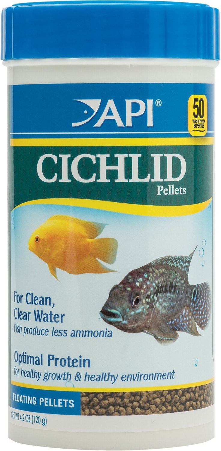 large cichlid food