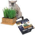 SmartCat Kitty's Garden + Kitty's Garden Seed Refill Kit
