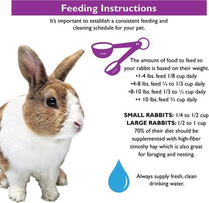 Show full view: Brown's Encore Classic Natural Rabbit Food, 4-lb bag slide 7 of 8